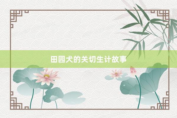 田园犬的关切生计故事
